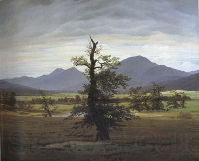 Caspar David Friedrich Landscape with Solitary Tree (mk10) Spain oil painting art
